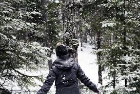 Things To Do In New Jersey This Weekend Beyond In 2021 Snow Uttarakhand Winter Forest