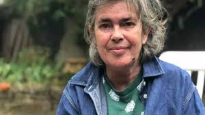 The city sami in the woods