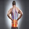 Sciatica pain product image