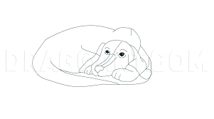 I figured i'd upload it here on da too for whomever else might need it. How To Draw A Curled Up Puppy Step By Step Drawing Guide By Catcat49 Dragoart Com