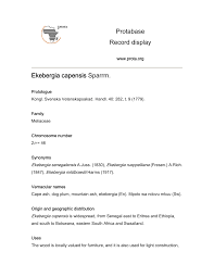 Image result for Ekebergia benguelensis