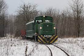 Oszd meg ezt a dalt az ismerőseiddel: Zsuzsi Erdei Vasut Sulitura