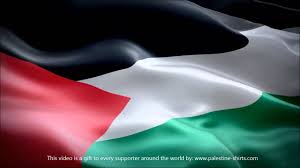 For faster navigation, this iframe is preloading the wikiwand page for flag of palestine. Palestine Flag Waving Youtube