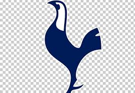 It is a very clean transparent background image and its resolution is 1000x460 , please mark the image source when quoting it. Tottenham Hotspur F C Premier League Football Player Northumberland Development Project Png Clipart Beak Bird Christian Eriksen