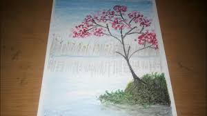 Nah, berikut ini adalah beberapa contoh gambar sketsa bunga sakura yang bisa kalian jadikan contoh untuk referensi gambar. Menggambar Bunga Sakura Dengan Crayon Youtube