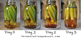 Fried okra, okra frittata, and okra creole. Pin On Fermenting Vegetables