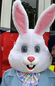 Decisions. Decisions. What is next?