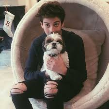 Open W Milo I Was At My House For A Couple Days And Was Hanging With My Dog I Was In The Middle Of Playing With Her Till I H Zombie