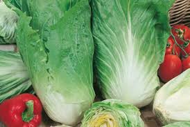 We did not find results for: Onlineshop Versand Treppens Samereien Blumenzwiebeln Gartenbedarf Gartenkompetenz Seit 1892 Gemusesamen Gemusesaatgut