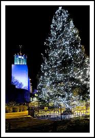 Newcastle Civic Centre Xmas Tree From Bergen 310 365 Christmas In Britain New Years Eve Fireworks Outdoor Christmas Lights