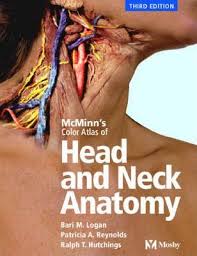 Atlas of anatomy, third edition, is the highest quality anatomy atlas available today. Colour Atlas Of Head And Neck Anatomy Bari M Logan 9780723431961