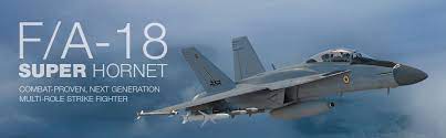We did not find results for: Boeing Boeing India F A 18 Super Hornet
