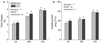 We did not find results for: Frontiers Nitrogen Metabolism In Adaptation Of Photosynthesis To Water Stress In Rice Grown Under Different Nitrogen Levels Plant Science