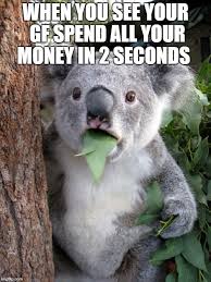 Surprised Koala Meme Imgflip This page is about giving yourself money meme,contains shut up and give me your money. surprised koala meme imgflip