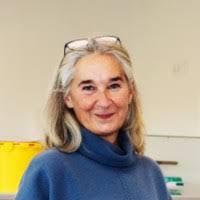 900+ "Schwertner" profiles