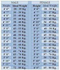 Ideal Height Weight Table Hight And Weight Chart Ideal Weight Chart Weight Charts