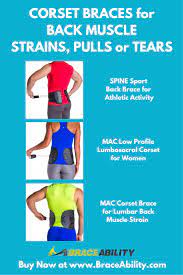 Pin On Muscles