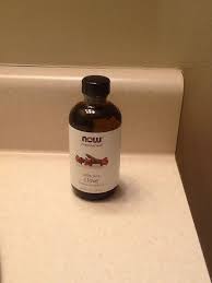 Remember if you dog chews on your glasses, slap yourself and give your dog a nice kong™ toy! Stop Your Dog From Chewing On Furniture Baseboards Etc Instantly I Purchased This 4oz Bottle From The Vitamin Shop Stop Dog Chewing Diy Dog Stuff Dog Chews