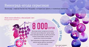 В этот день всемирных и международных праздников нет. Kakoj Segodnya Prazdnik V Mire I Kazahstane 18 Fevralya