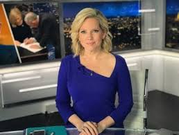 Shannon Bream Bio Age Career Spouse Net Worth Award Body Figure