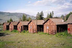 Roosevelt Lodge Cabins Yellowstone National Park These Are The Cabins We Stayed In For Our Vacation In The 19 Yellowstone Trip Wyoming Travel Camping Places