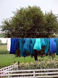 5170 n 675 w, shipshewana (in), 46565, united states. 17 Best Middlebury Indiana Ideas Middlebury Indiana Northern Indiana