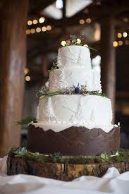 Outdoorsy Mountain Wedding Cake Mountain Wedding Cake Winter Wedding Cake Wedding Cake Fresh Flowers