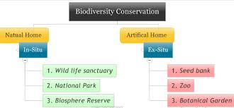 (i) zoological parks, botanical gardens and wildlife safari parks serves this purpose. Explained In Situ Ex Situ Biodiversity Conversation 4upsc