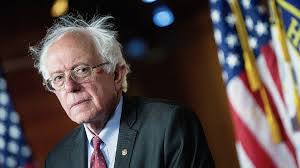 Image result for bernie sanders