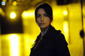 She is the daughter of mah monir, an interior designer, and abbas jahansouz shahi, who divorced when the dog problem is a 2006 comedy film directed and written by scott caan and produced by thousand words films. Performers Of The Month June Winner Outstanding Actress Sarah Shahi
