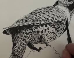 Drawing with pen and ink (or brush and ink) is as challenging as it is inspiring — it heightens an artist's accurate use of line, value, and composition, develops confidence, and opens new pathways to creative possibilities. Pen Drawing Bird