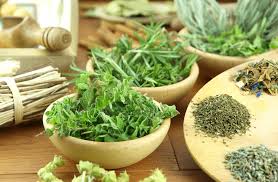 The thought of having poisonous plants in the house without even realizing it is very scary (especially. Safe Plants For Cats What To Have In Your Garden Catster