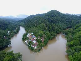 Kunjungi saja topik ini dan anda akan menemukan tambang emas kata kata. Betung Kerihun Danau Sentarum Kapuas Hulu Biosphere Reserve Indonesia