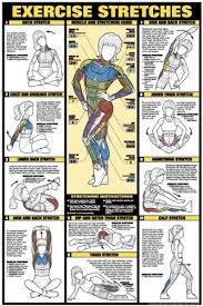 Exercise Stretches 24 X 36 Laminated Chart By Fitnus Chart Series