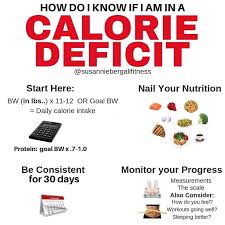 Image result for Energy Deficit Calculation