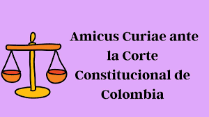 Courts of appeals, but we will consider filing. Women On Web Presents Amicus Curiae Before The Colombian Constitutional Court Women On Web