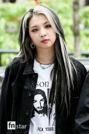 Pin By Tzuyu On K Rd Hair Inspo Color Hair Streaks Skunk Hair