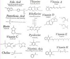 67 Accurate Biological Macromolecules Chart