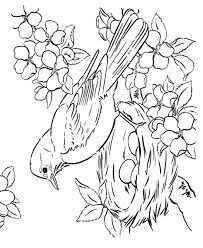 Set up a table outside and keep kids of all ages occupied with these spring pictures to color. Related Image Bird Coloring Pages Spring Coloring Pages Coloring Pages