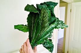 Kale Recipes 50 Things To Do With Kale Chocolate Zucchini Kale Recipes Chocolate Zucchini Cucumber Recipes