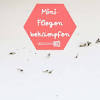 Kleine fliegen im haus im winter. 3