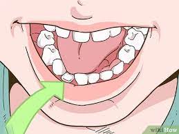 After roughly 4 or 5 teeth. 4 Ways To Painlessly Pull Out A Loose Baby Tooth Wikihow