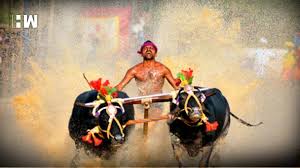Jul 30, 2021 · read the latest sports news from around the world on australia's sports leader fox sports. India S Very Own Usain Bolt Karnataka Buffalo Jockey Completes 100m Run In 9 55 Seconds Hw English