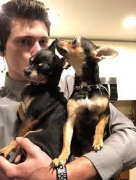 Looking for a due, trio. Or team