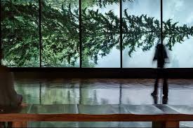 A spinning earth, a forest, bananas, portraits and riding up walls. The Best Eco Art Exhibitions In London 2020 Eco Age