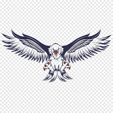 Why don't you let us know. Eagle Illustration Bald Eagle White Tailed Eagle Gunfare Animals Logo Png Pngegg