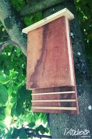 Comment Fabriquer Un Abri A Chauves Souris En Moins De 30 Minutes Brico Prive Nichoir Chauve Souris Abri Chauve Souris Chauve Souris