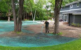 Residential Hydroseeding Services In Minneapolis