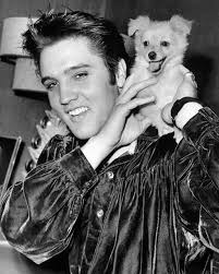 Tomorrow at 7:00 PM, we're...