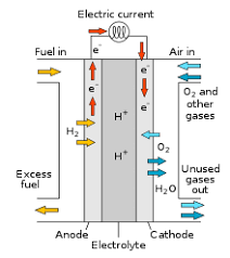 Carbon monoxide (co) detectors for home use have been around for 25 years. Fuel Cell Wikipedia